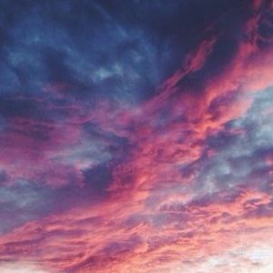 Meet your Posher, Kirra